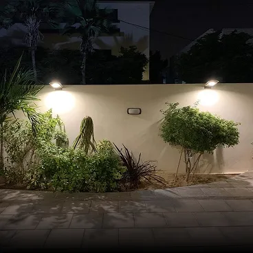 Solar Wall Lights